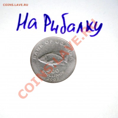 Конкурс "На РЫБАЛКУ" - Рисунок81