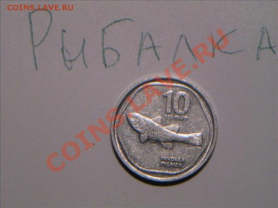 Конкурс "На РЫБАЛКУ" - IMG_8823