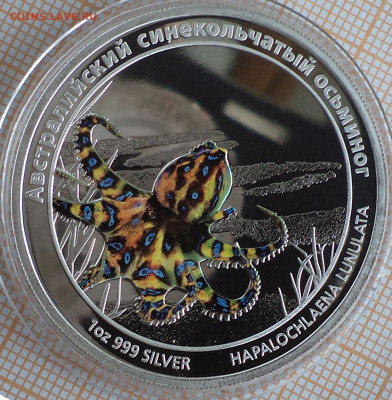 Тувалу 1 доллар 2011 г., осьминог,до 26.09.2023 г. в 22.00 п - Тувалу 1 доллар 2011 осьминог2