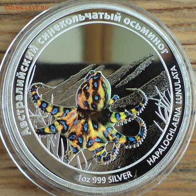 Тувалу 1 доллар 2011 г., осьминог,до 26.09.2023 г. в 22.00 п - Тувалу 1 доллар 2011 осьминог3