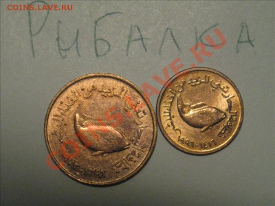 Конкурс "На РЫБАЛКУ" - IMG_8826