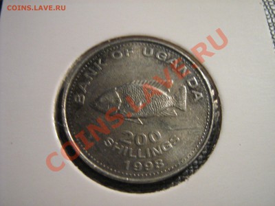 Конкурс "На РЫБАЛКУ" - 007.JPG