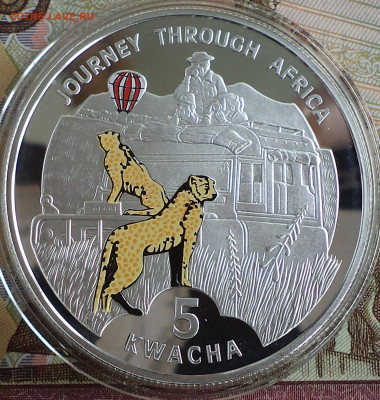 Малави 5 квача 2006 г., сафари, до 27.09.2023 г. в 22.00 по - Малави 5 квача 2006 сафари1
