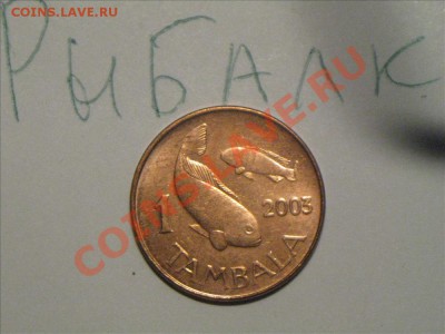 Конкурс "На РЫБАЛКУ" - IMG_8833