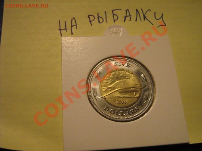Конкурс "На РЫБАЛКУ" - 333.JPG