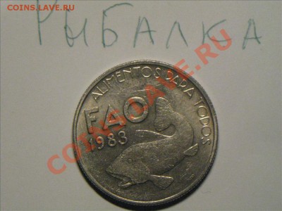 Конкурс "На РЫБАЛКУ" - IMG_8838