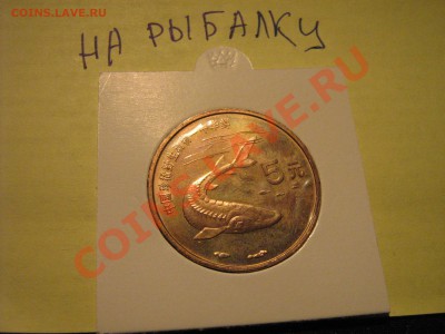 Конкурс "На РЫБАЛКУ" - 222.JPG