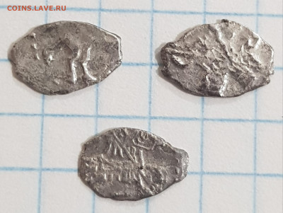 3 чешуйки Петра 1 на опознание - 20230925_212731