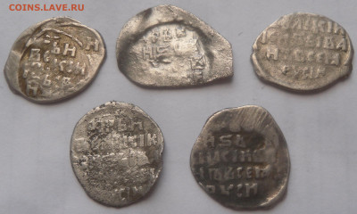 5 крупных чешуек Ивана Грозного - SAM_4030.JPG
