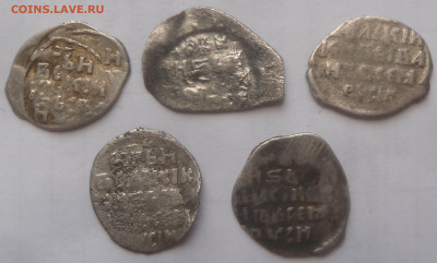 5 крупных чешуек Ивана Грозного - SAM_4029.JPG