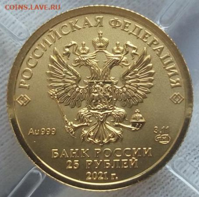 25 Рублей 2021 Победоносец 3,11 гр 999пр (1) UNC до 1.10.23 - IMG_20230930_164020