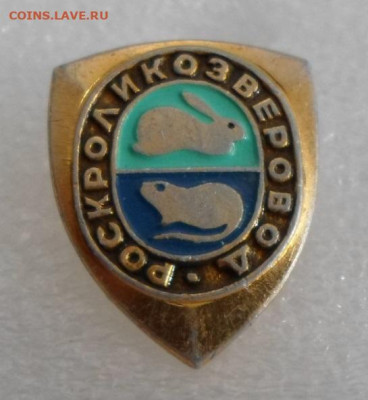 Роскроликозверовод до 03.10 - SAM_8379.JPG