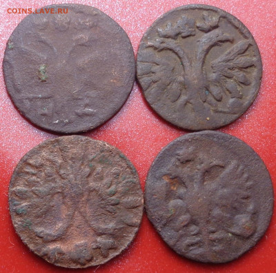 врп полушка 1709,1719,1721 года,(4шт.).До 05.10.23 - DSC01459.JPG