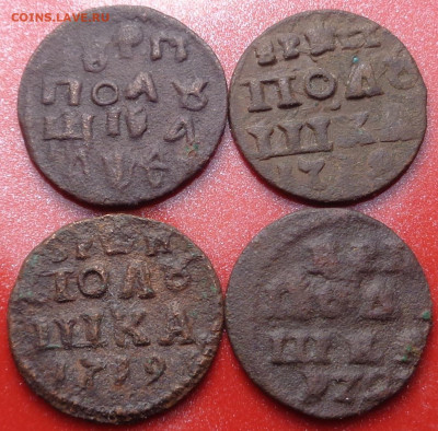врп полушка 1709,1719,1721 года,(4шт.).До 05.10.23 - DSC01450.JPG