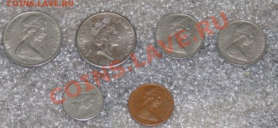 Экзотический "тазик" часть III - Нов-зел-2