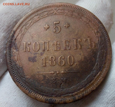 5 копеек 1860 ЕМ в коллекцию (3 монеты) - IMG_20231003_204934