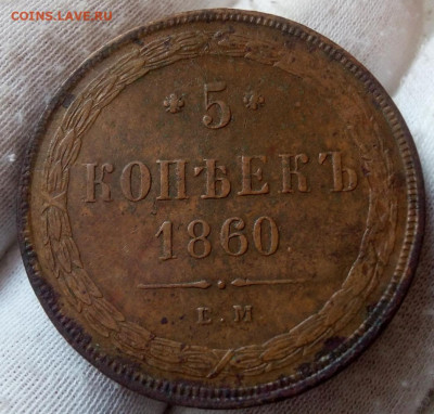 5 копеек 1860 ЕМ в коллекцию (3 монеты) - IMG_20231003_205239