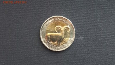 Турция 1 лира 2015 Муфлон UNC до 07.10 - 20231005_182753