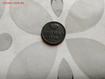 Полушка 1856 ем до 11.10.2023 - 1856 (5)