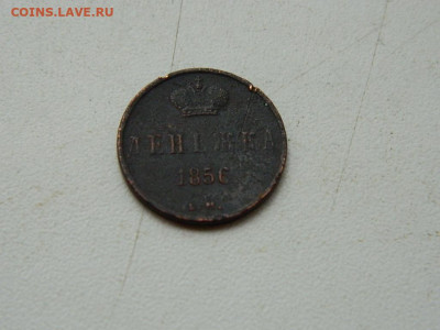 денежка ЕМ 1856 до 11.10.2023 22:00 - DSCN1570.JPG