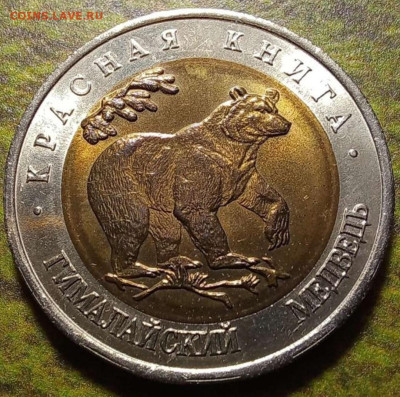 50р 1993г КК Гималайский медведь UNC - Screenshot_20231009_132218