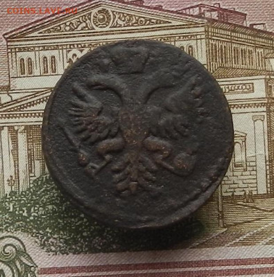 Денга 1730 г. до 12.10 в 22.00. - DSCN0509.JPG
