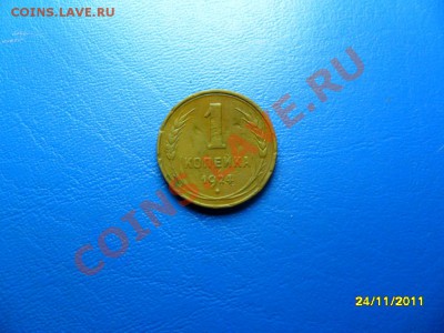 2 сиб.полушки до 29 дек. - SAM_6371.JPG