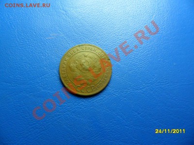 2 сиб.полушки до 29 дек. - SAM_6373.JPG