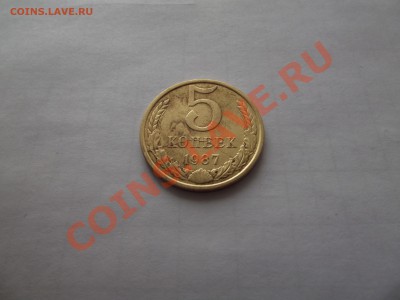 5 копеек 1987г раскол на оценку. - DSCF0352.JPG