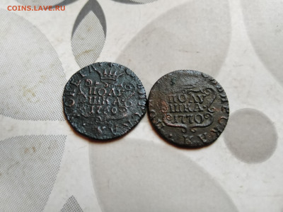 2 полушки 1769,1770 сибирь до 15.10.2023 - 2пол (3)