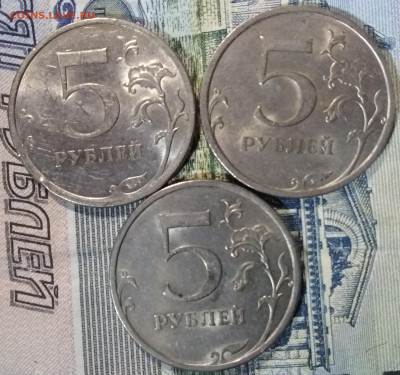 5 питерские. - IMG_20231011_202257~2
