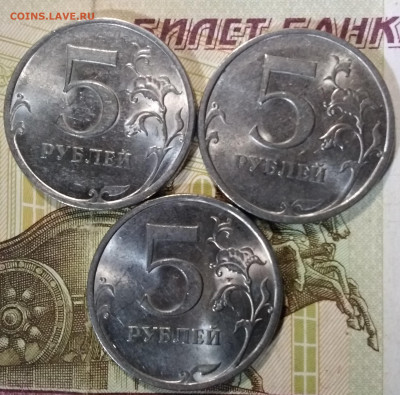 5 питерские. - IMG_20231011_202128~2