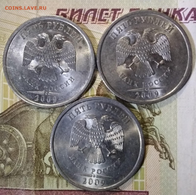 5 питерские. - IMG_20231011_202058~2