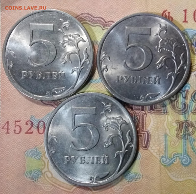 5 питерские. - IMG_20231011_201636~2