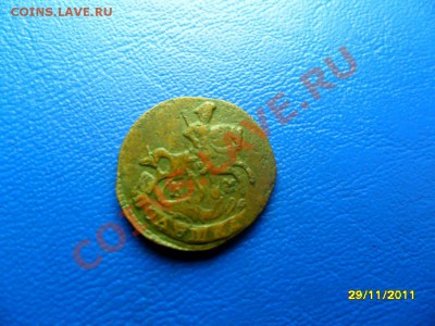 полушка 1793км+бонус (короткий аук) до 30.12.11 в 22-00 мск - SAM_6642.JPG