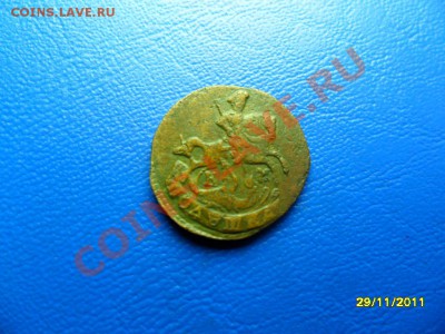 полушка 1793км+бонус (короткий аук) до 30.12.11 в 22-00 мск - SAM_6644.JPG