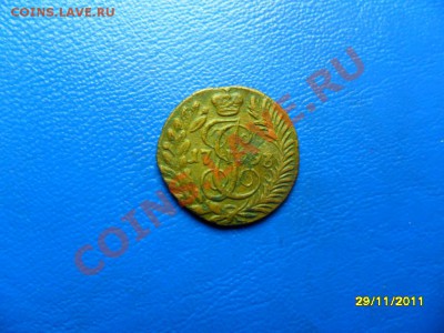 полушка 1793км+бонус (короткий аук) до 30.12.11 в 22-00 мск - SAM_6630.JPG