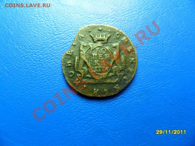 полушка 1793км+бонус (короткий аук) до 30.12.11 в 22-00 мск - SAM_6693.JPG