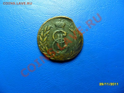 полушка 1793км+бонус (короткий аук) до 30.12.11 в 22-00 мск - SAM_6695.JPG