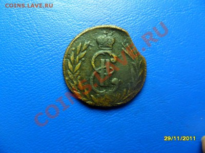 полушка 1793км+бонус (короткий аук) до 30.12.11 в 22-00 мск - SAM_6697.JPG