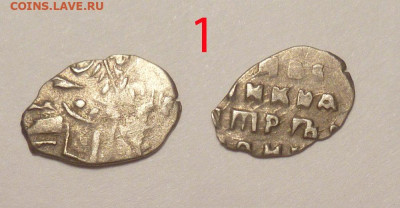 3 чешуйки на определение - 1-024