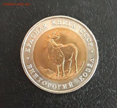 5 рублей 1991год. К.К ВИНТОРОГИЙ КОЗЁЛ. ДОСТОЙНЫЙ! До 20.10. - 20231014_103755.JPG