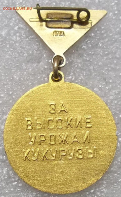 ЛУЧШЕМУ КУКУРУЗОВОДУ(All) ЛМД 19.10.23 22:00 МСК - 100_7078.JPG