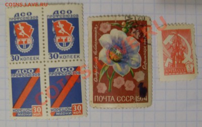 кому всякого всякого? - вв