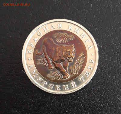 10 рублей 1992 года. К.К. АМУРСКИЙ ТИГР. До 21.10. - 20231014_212732.JPG