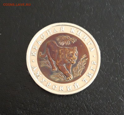 10 рублей 1992 года. К.К. АМУРСКИЙ ТИГР. До 21.10. - 20231014_212726.JPG