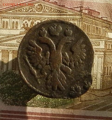 Денга 1736 г.  до 19.10 в 22.00. - DSCN1433.JPG