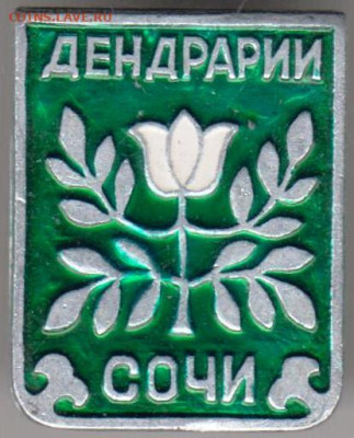 Знак ДЕНДРАРИИ СОЧИ до 22.10.23 г. в 23.00 - 007