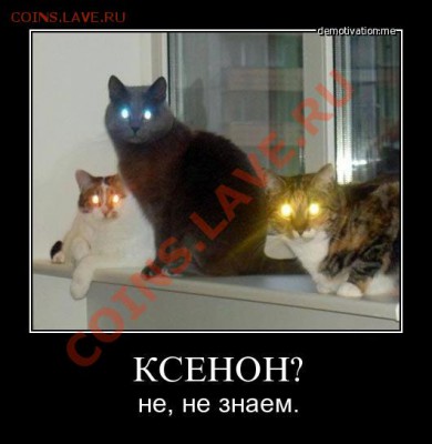 юмор - b5rpcv0wf51i