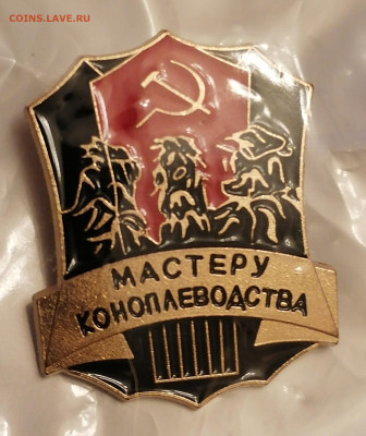 Знак Мастеру коноплеводства 22.10.23 - IMG_20231017_214345